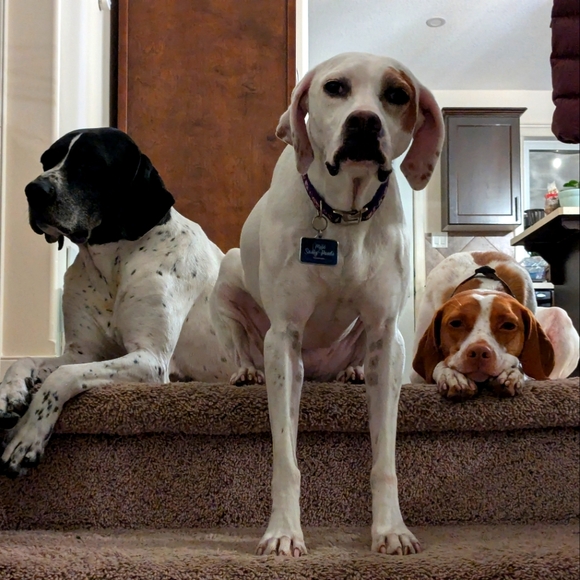 Meet your Posher, Livingskies - Picture 1 of 2